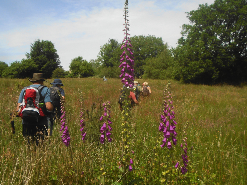 Photograph of Walking Route - Image 16