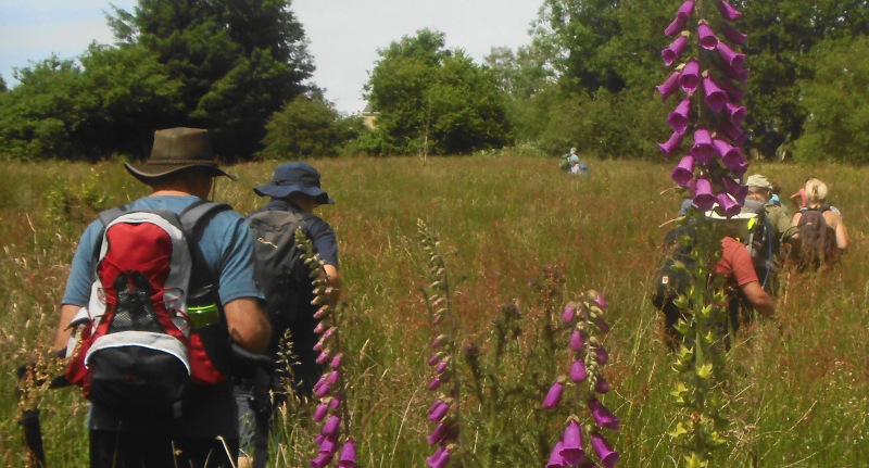 Photograph of Walking Route - Image 17