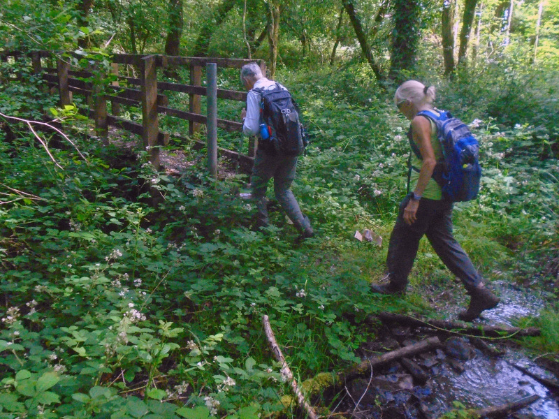 Photograph of Walking Route - Image 2