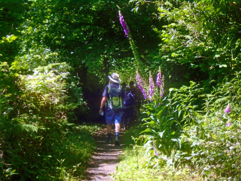 Photograph of Walking Route - Image 13