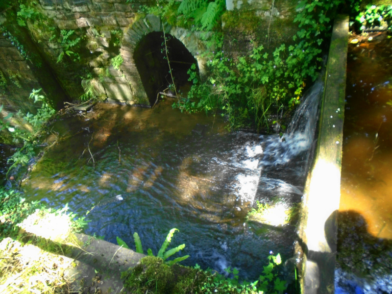 Photograph of Walking Route - Image 14