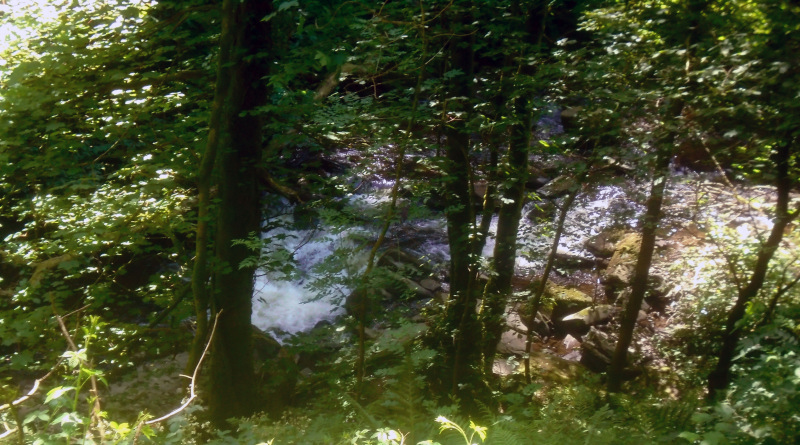 Photograph of Walking Route - Image 21