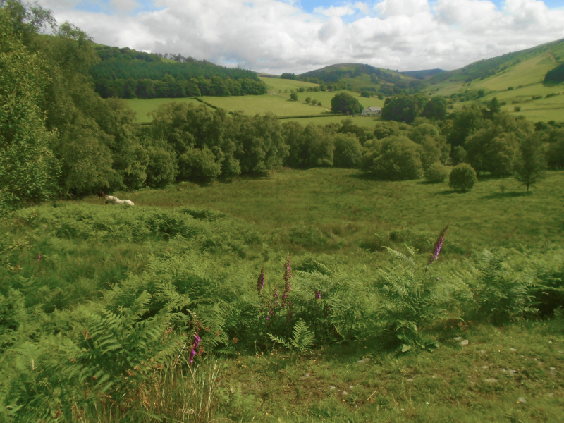 Photograph of Walking Route - Image 3