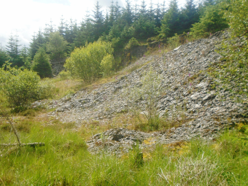Photograph of Walking Route - Image 6