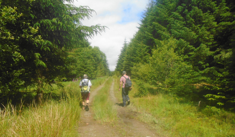 Photograph of Walking Route - Image 7