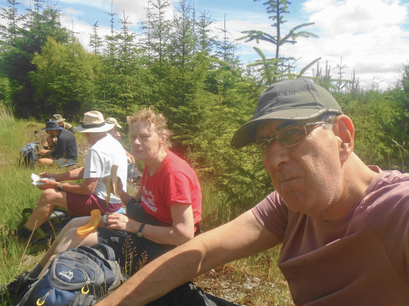 Photograph of Walking Route - Image 8