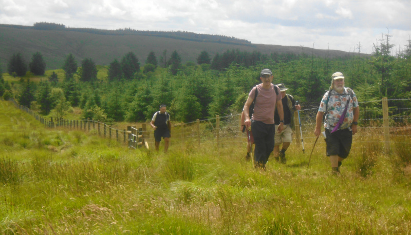 Photograph of Walking Route - Image 13