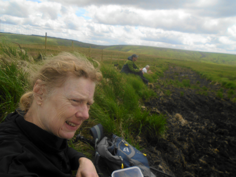 Photograph of Walking Route - Image 14