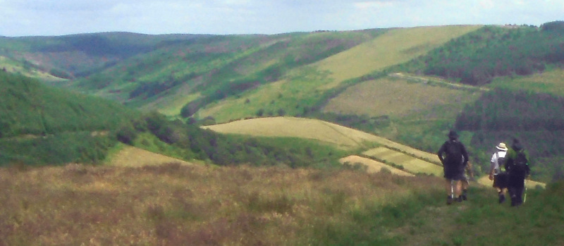 Photograph of Walking Route - Image 17
