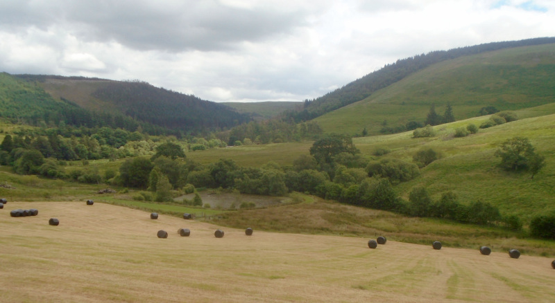 Photograph of Walking Route - Image 22
