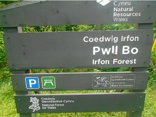 Tywi Forest walk
