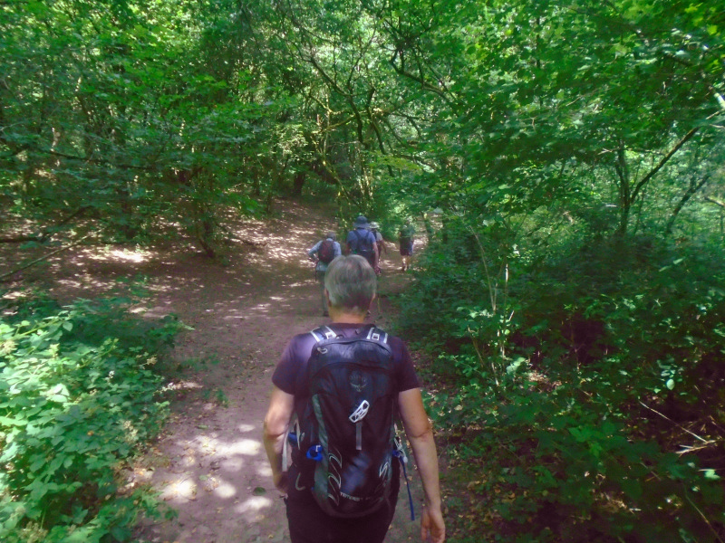 Photograph of Walking Route - Image 6