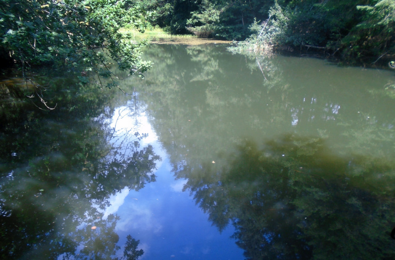 Photograph of Walking Route - Image 8