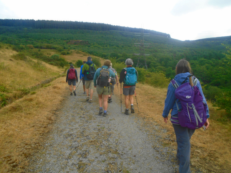 Photograph of Walking Route - Image 1