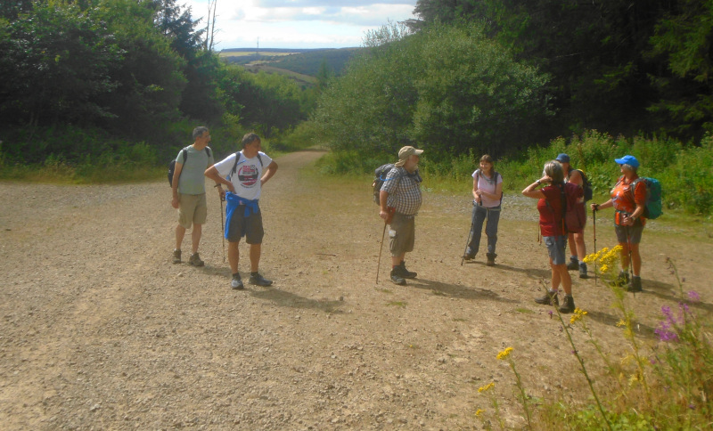 Photograph of Walking Route - Image 4