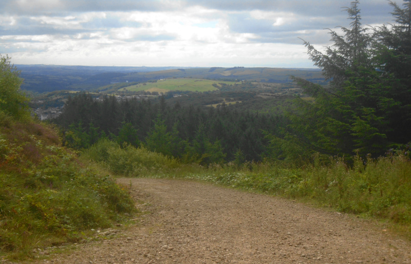 Photograph of Walking Route - Image 5