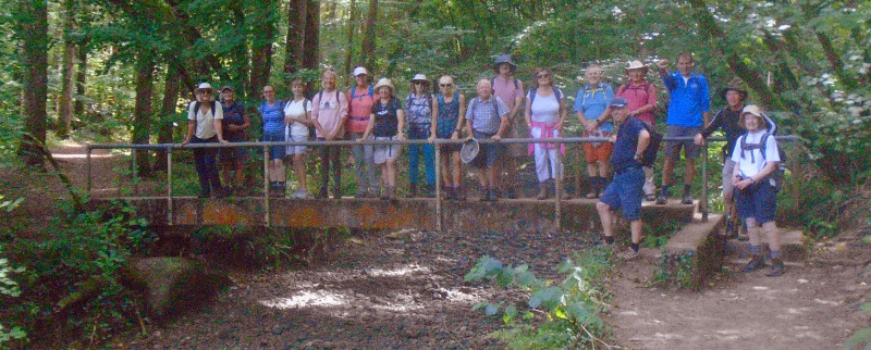Photograph of Walking Route - Image 5