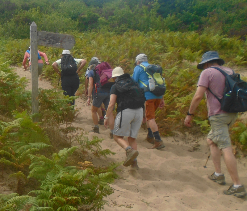 Photograph of Walking Route - Image 20