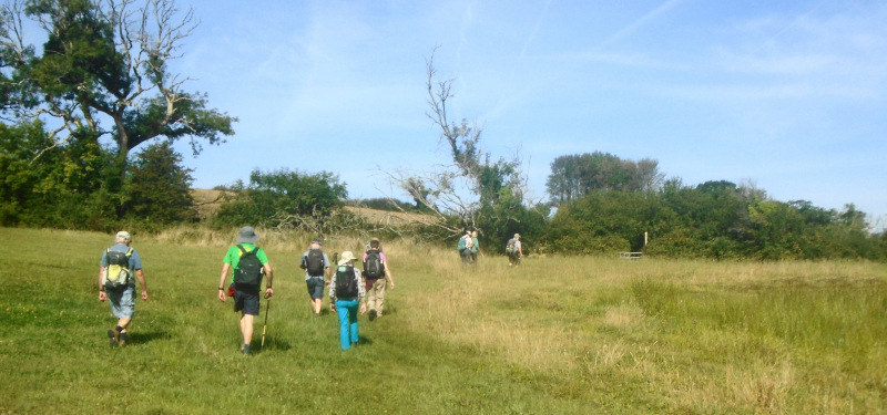 Photograph of Walking Route - Image 1
