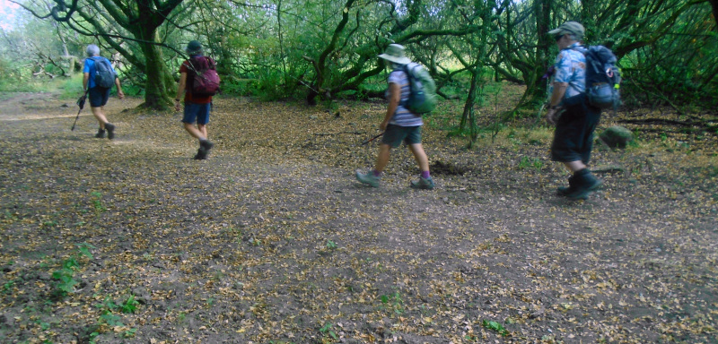 Photograph of Walking Route - Image 1