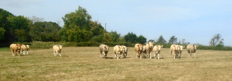 Photograph of Walking Route - Image 7