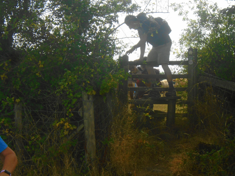 Photograph of Walking Route - Image 8