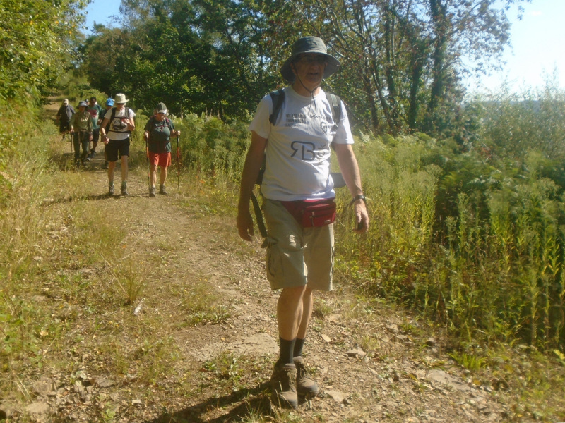 Photograph of Walking Route - Image 5