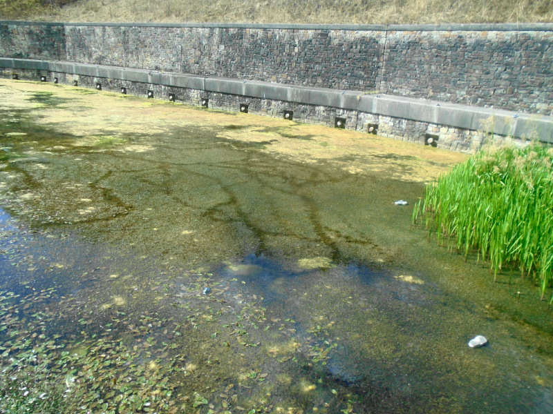 Photograph of Walking Route - Image 19