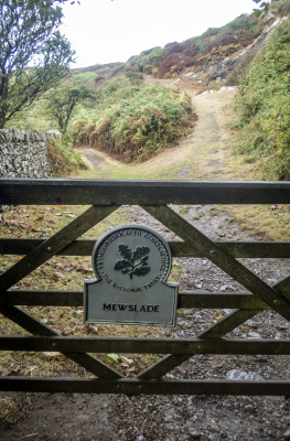 Photograph of Walking Route - Image 5