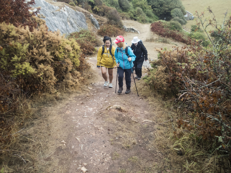 Photograph of Walking Route - Image 7