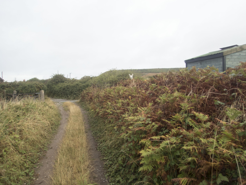 Photograph of Walking Route - Image 8