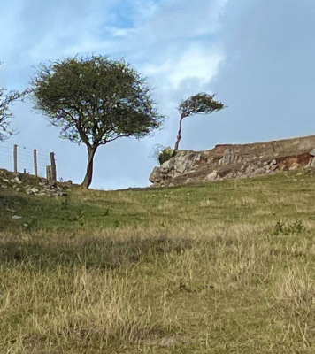 Photograph of Walking Route - Image 36