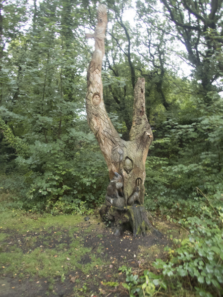 Photograph of Walking Route - Image 4