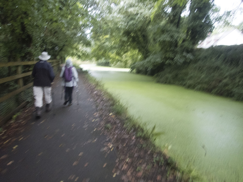Photograph of Walking Route - Image 6