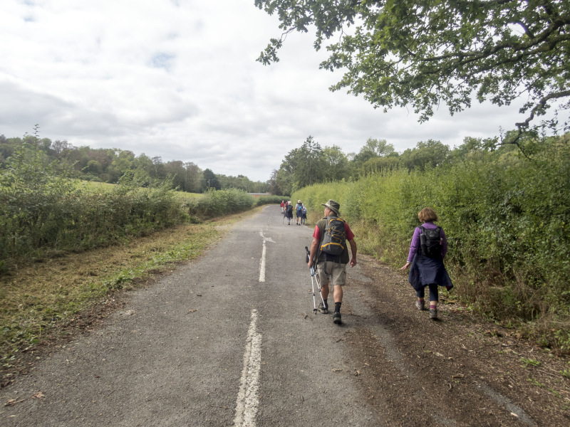 Photograph of Walking Route - Image 13