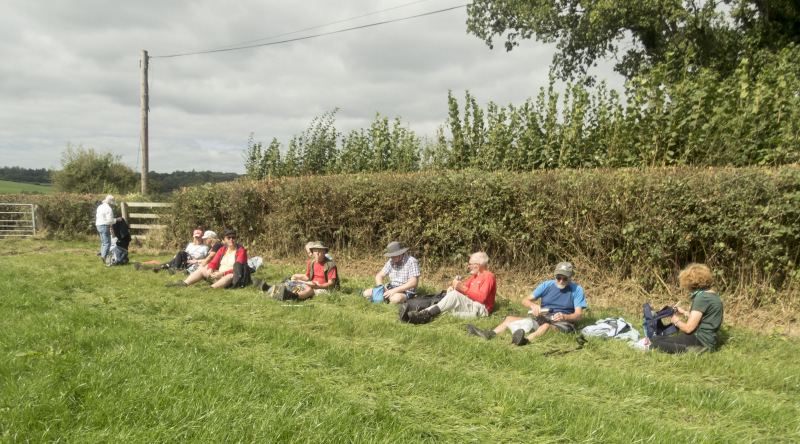 Photograph of Walking Route - Image 15
