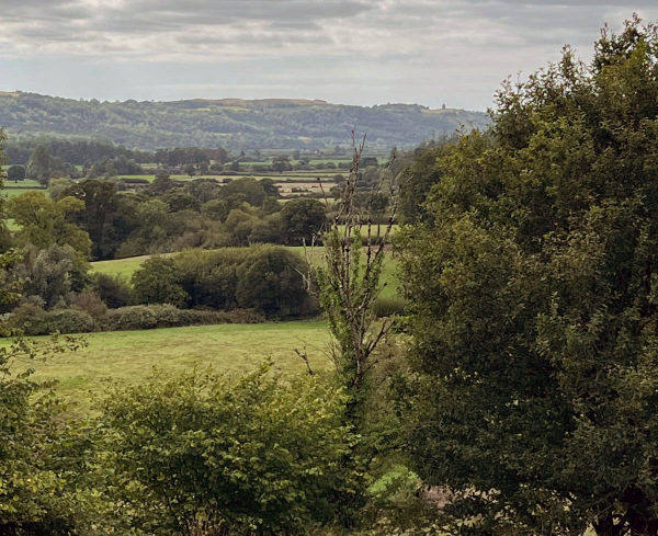Photograph of Walking Route - Image 20