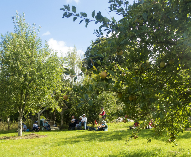 Photograph of Walking Route - Image 32