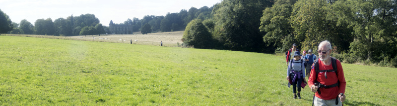 Photograph of Walking Route - Image 36