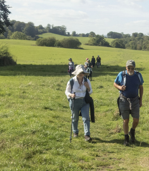 Photograph of Walking Route - Image 38