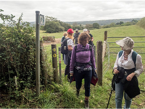 Llandeilo walk
