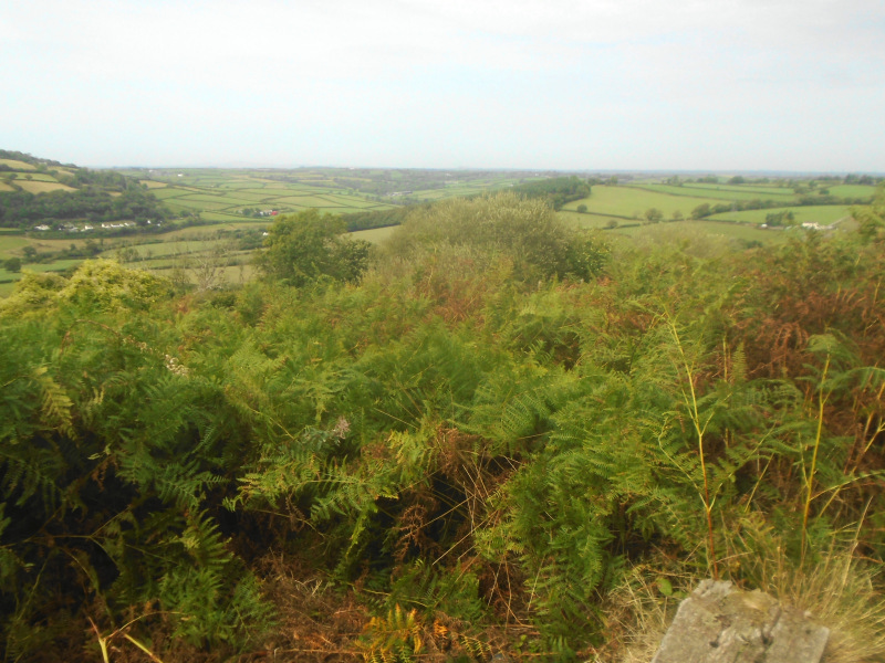 Photograph of Walking Route - Image 14
