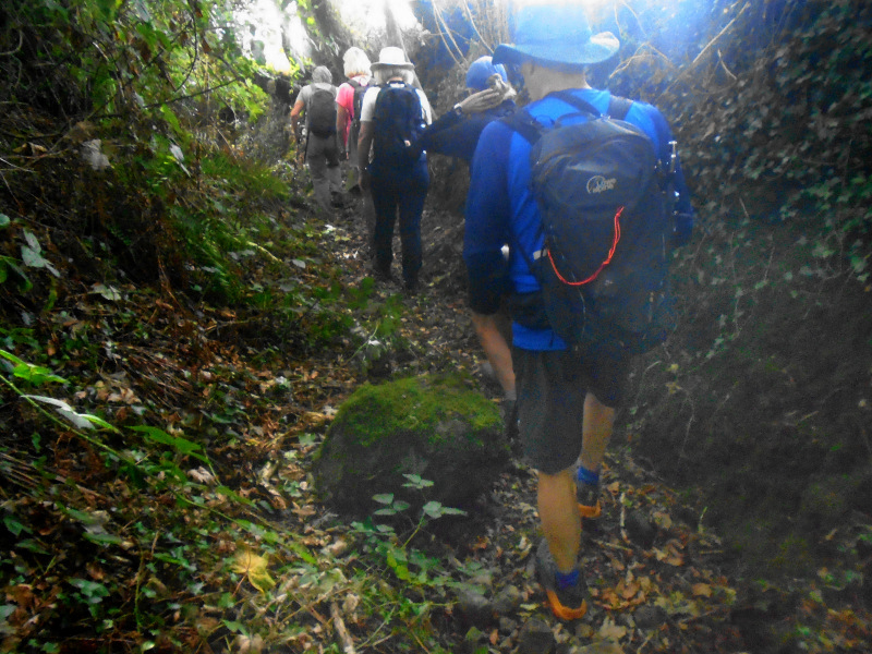 Photograph of Walking Route - Image 17