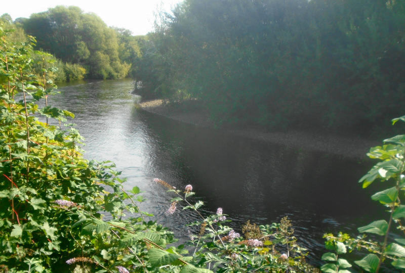 Photograph of Walking Route - Image 1