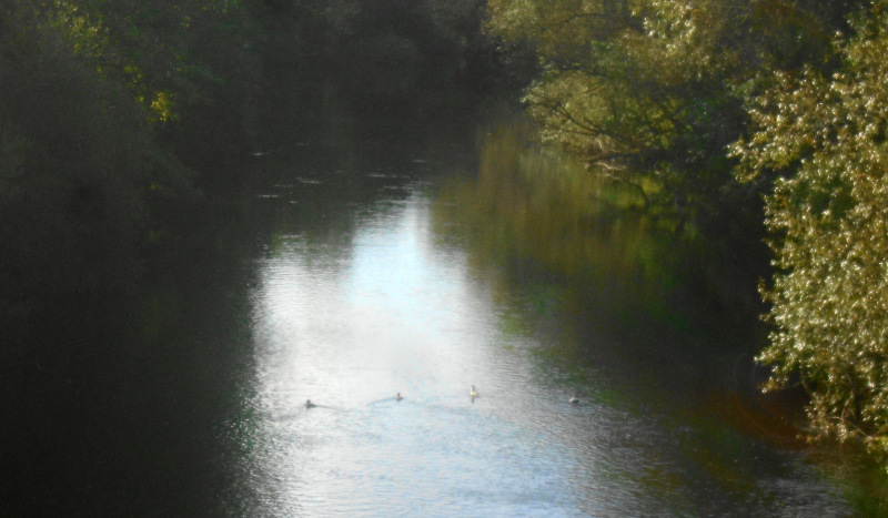 Photograph of Walking Route - Image 2