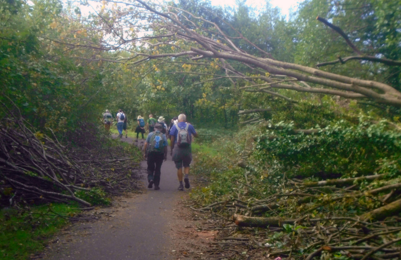 Photograph of Walking Route - Image 4
