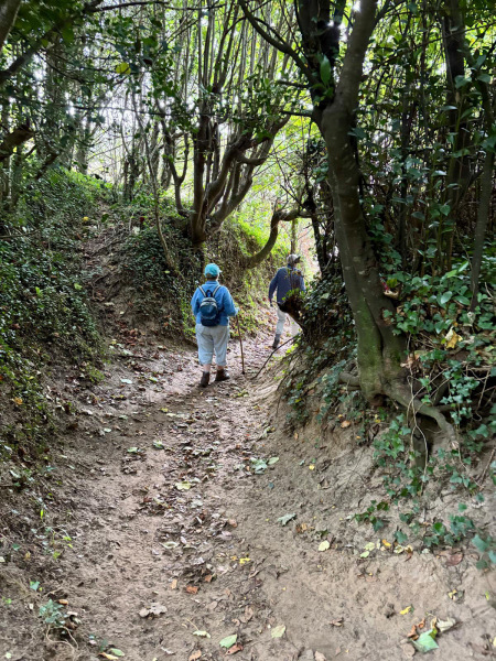 Photograph of Walking Route - Image 4