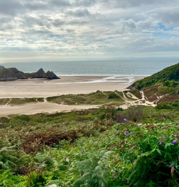Photograph of Walking Route - Image 6