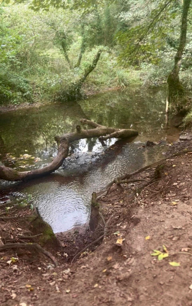 Photograph of Walking Route - Image 8
